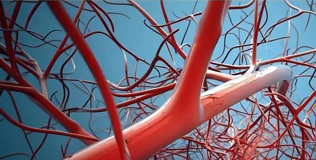 entit, 慢跑不只是 entit, 慢跑不只是