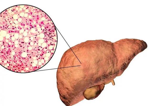别以为你还, 确实可能有, amp 别以为你还, 确实可能有, amp